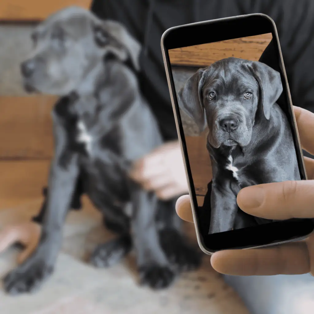 Creating Engaging Content