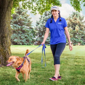 Pet Butler Assistant Manager Walks a Dog