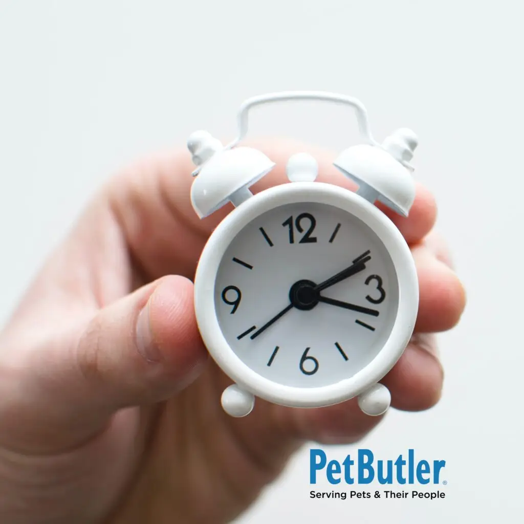 Photo by Lukas Blazek on Unsplash