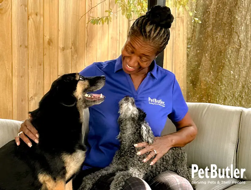 Pets Being Pampered By Pet Butler Franchisee