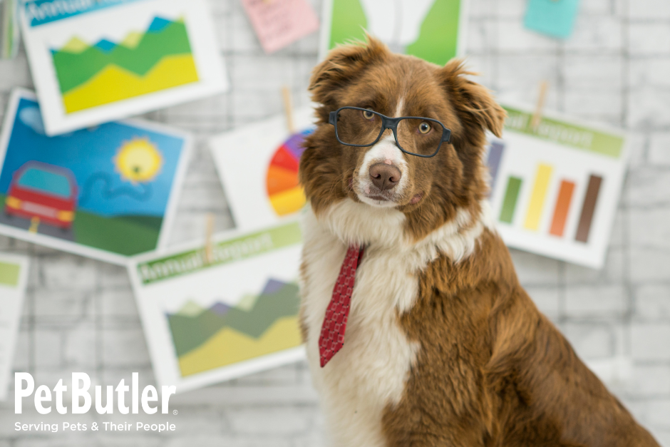 Dog with glasses and a tie with business graphs and chart behind him in the background