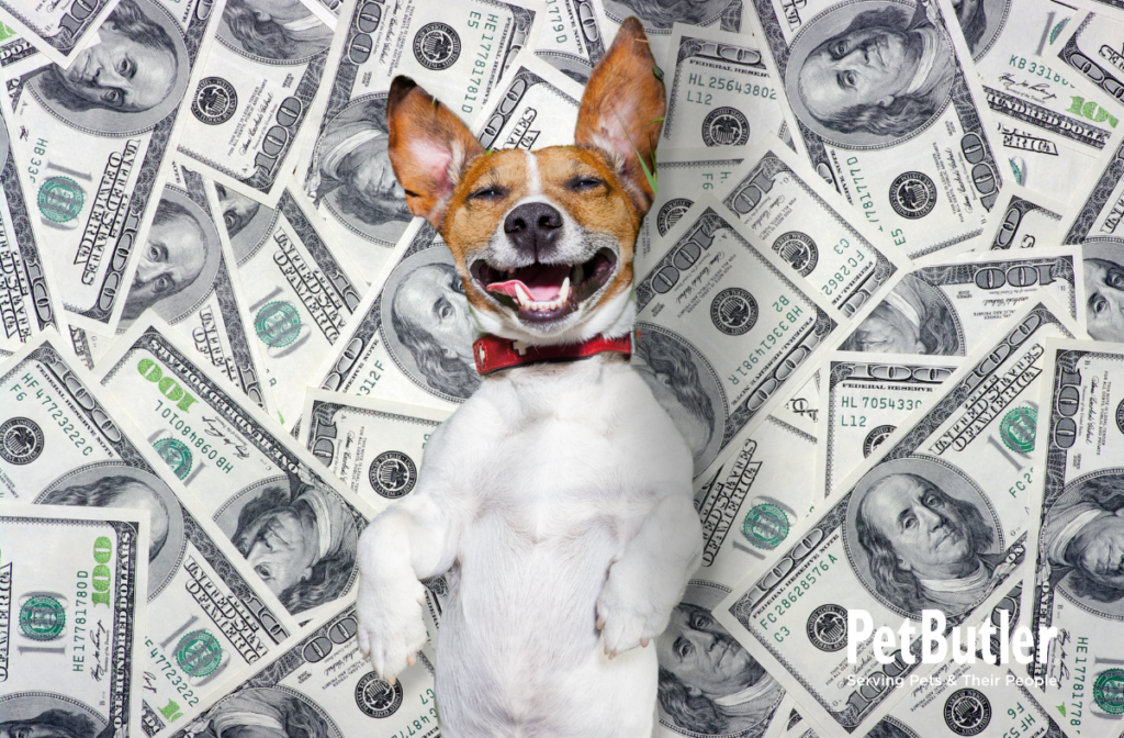 Smiling dog laying in pile of money